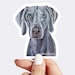 see more listings in the Dog Stickers section