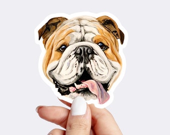 Bulldog Sticker, Bulldog Artwork, English Bulldog Sticker, English Bulldog Car Decal, Bulldog Gift