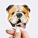 see more listings in the Dog Stickers section