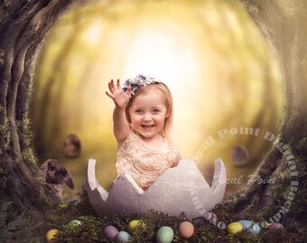 Egg Photo Prop, Easter Digital Backdrop, Easter woods digital,  Cracked egg digital, cracked eggie prop. JPG AND PSD files included