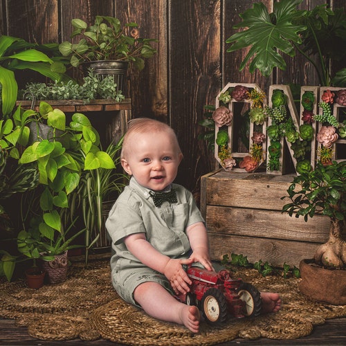 First 1st One Year Birthday Digital Backdrop Background With - Etsy Canada