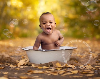 Fall Path Forest Bucket  Background Package, Outdoor Backdrops for Composites, PhotoShop Backdrops, Digital Backdrop, Photography Background