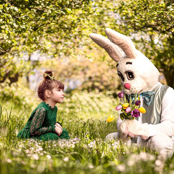 Bunny Photo Prop Etsy