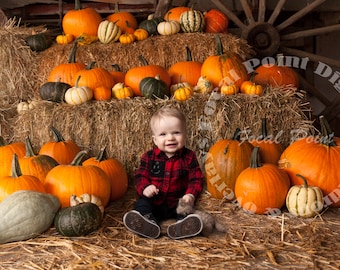 Halloween Pumpkin Patch Fall Background, Outdoor Backdrops for Composites, PhotoShop Backdrops, Digital Backdrop, Photography Background