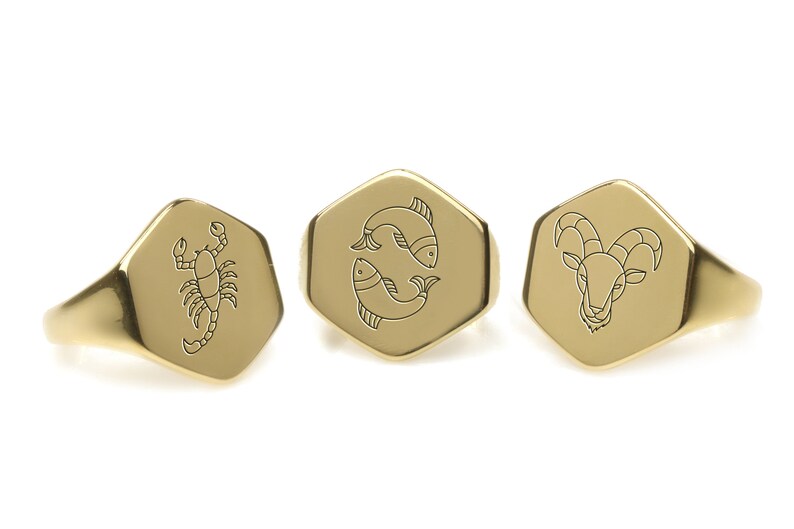 Zodiac Sign Signet Ring · Engraved Pisces Ring · Astrological Ring for ...