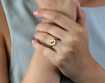 Gegraveerde ruiterring · Aangepaste gegraveerde ring · 14k gouden zegelring · Gepersonaliseerd cadeau · Sportring paard