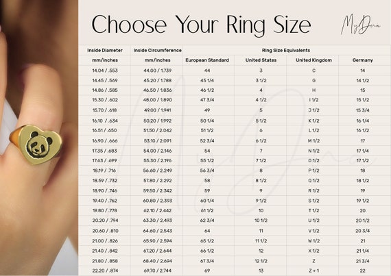 Engraved Lynx Signet Ring · Gold Custom Lynx Ring · Animal