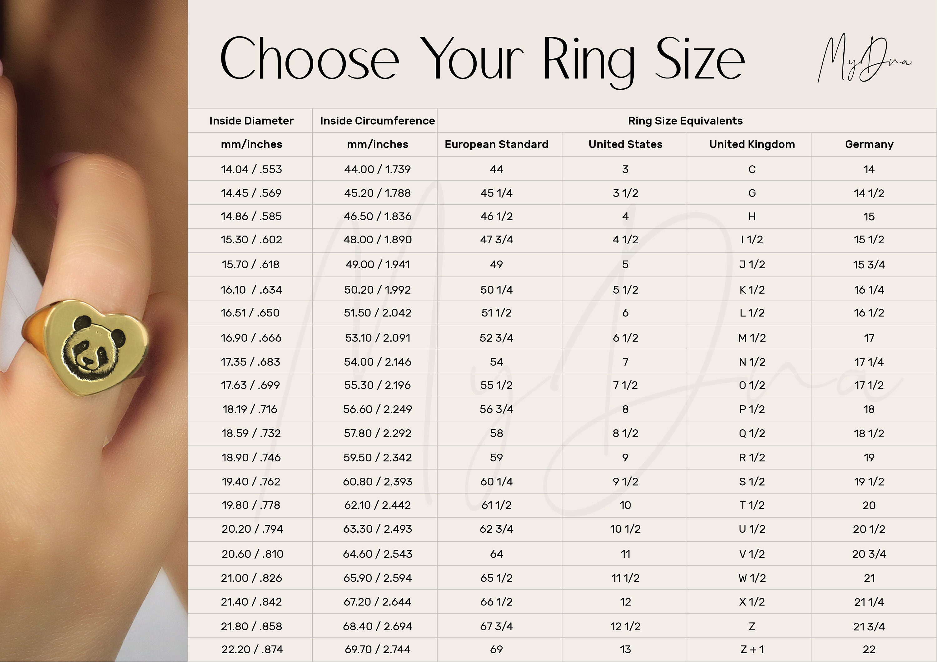 Gold Lion Crown Signet Ring · Custom Crown Lion Ring