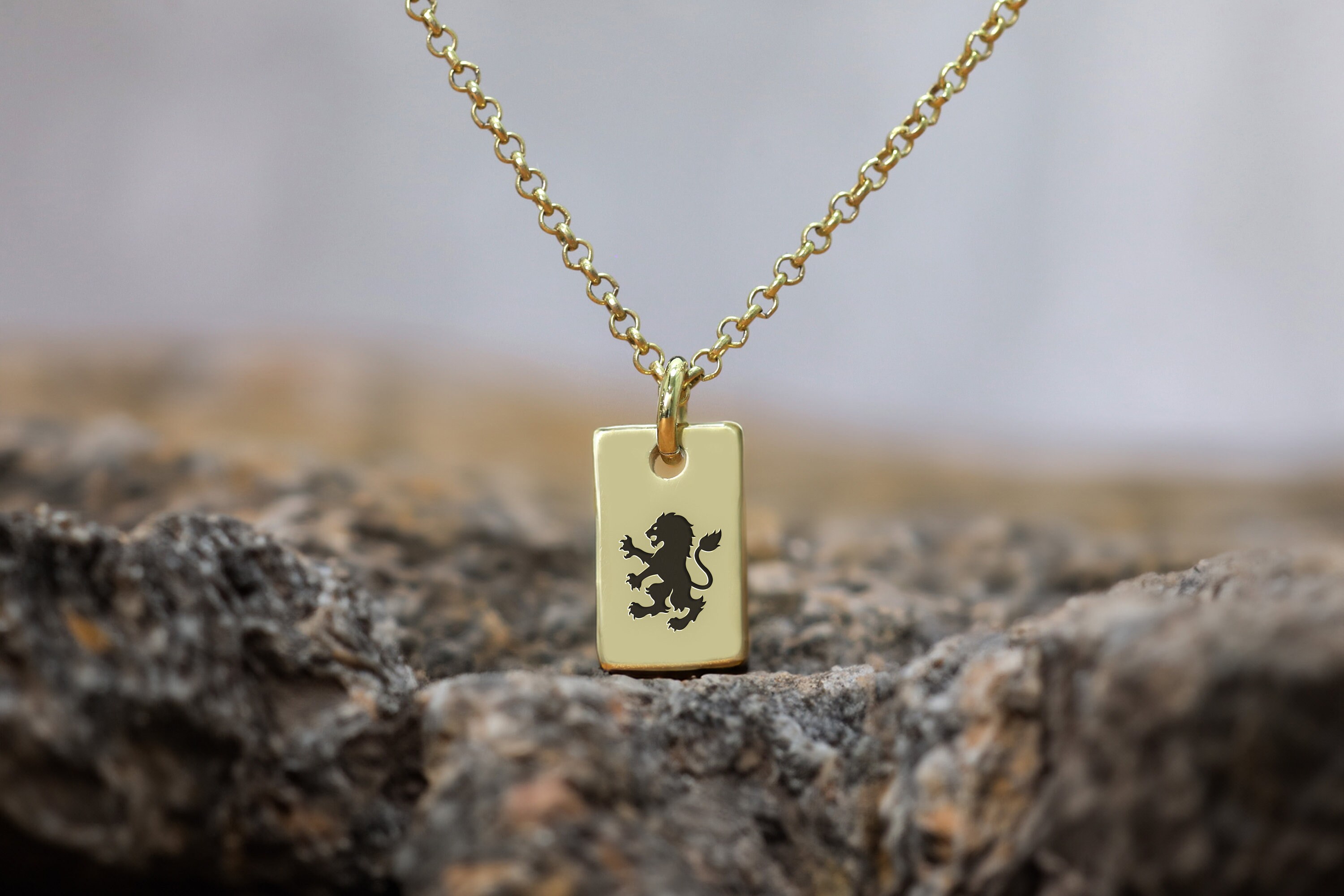 14k Gold Heraldic Lion Necklace · Rectangle Pendant Necklace · Lion Signet Necklace · Unisex Necklace