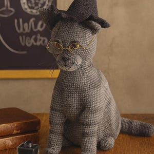 May include: A gray, crocheted cat doll wearing a black witch hat and small, round, gold-rimmed glasses. The cat sits on a wooden surface with a quill pen, inkwell, and books. A chalkboard with the words "Uero Vecto" is in the background.