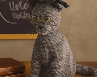 Wizard professor inspired Animagus – Amigurumi Witch Cat Toy – Instant Download