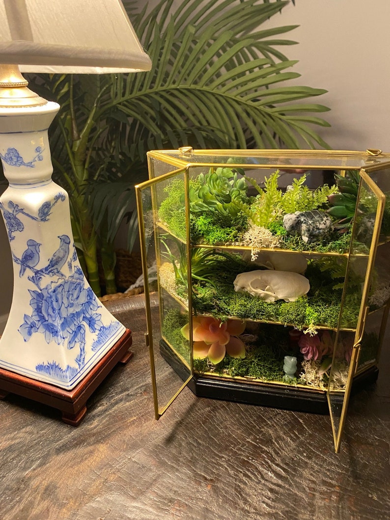 Gold and Glass Curio Artificial Terrarium With Etsy