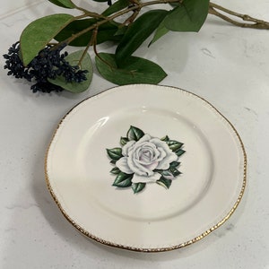 Homer Laughlin Rose Gold Trim Vintage Salad Plate Replacement Made in the USA