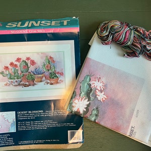 Vintage Sunset Desert Blossoms Cactus Succulents Cross Stitch Kit Embroidery