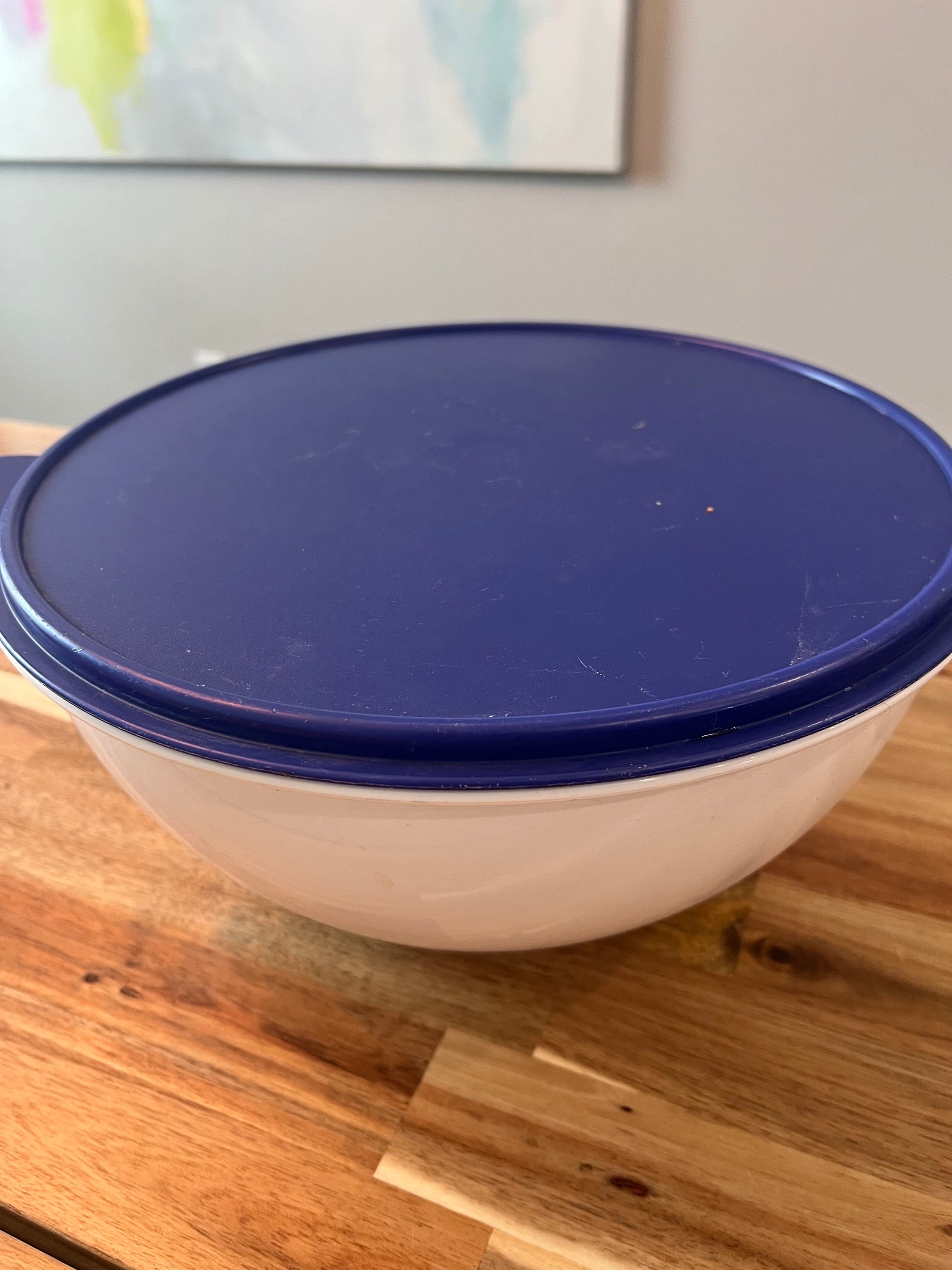Tupperware 32 Cup Thatsa Bowl Blue & White With Lid #2539A Large  display picture 1