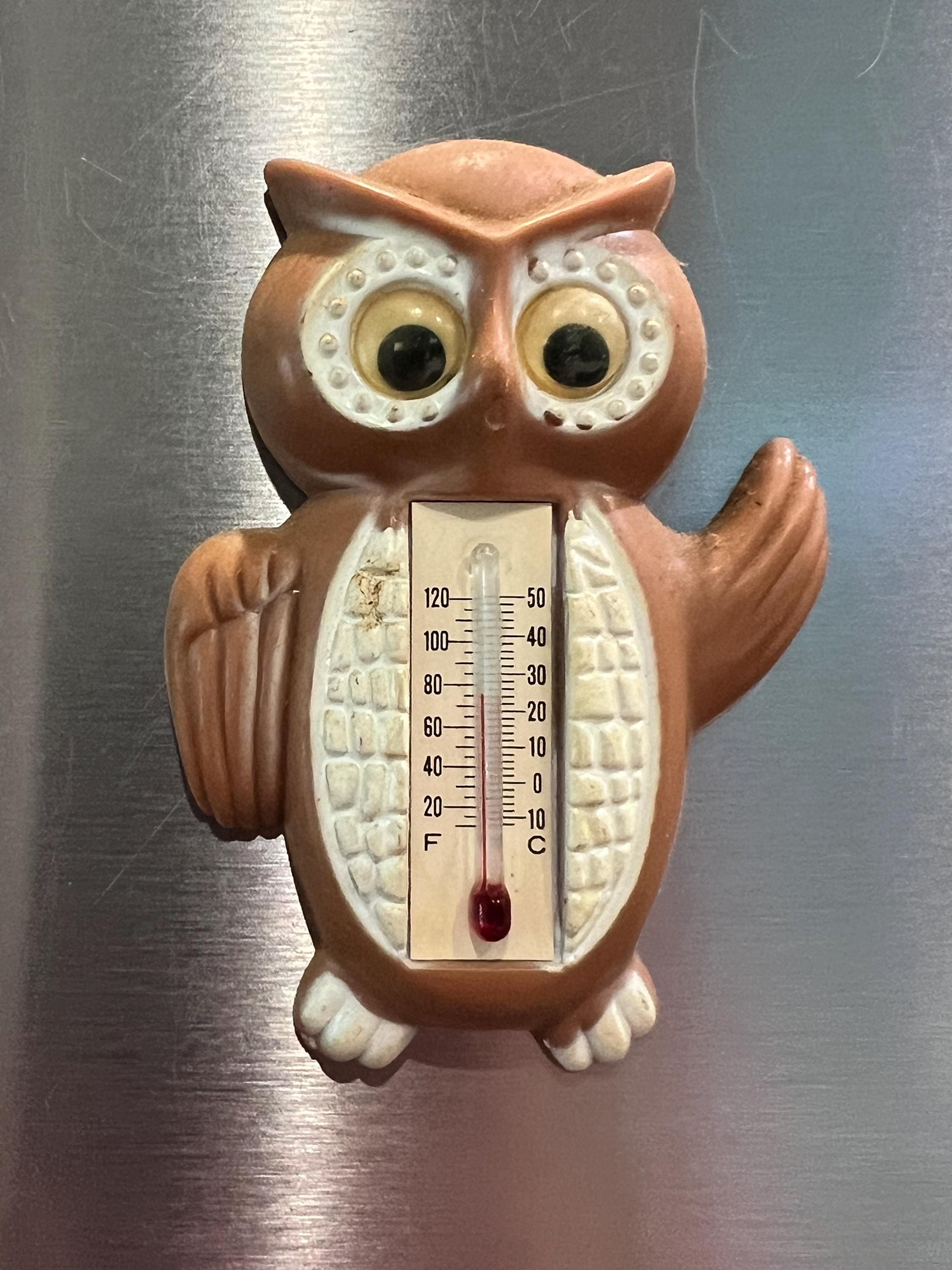 Vintage Refrigerator Thermometer - Etsy Vintage Refrigerator Thermometer - Etsy