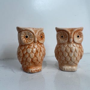 Owl Salt & Pepper Vintage Shakers