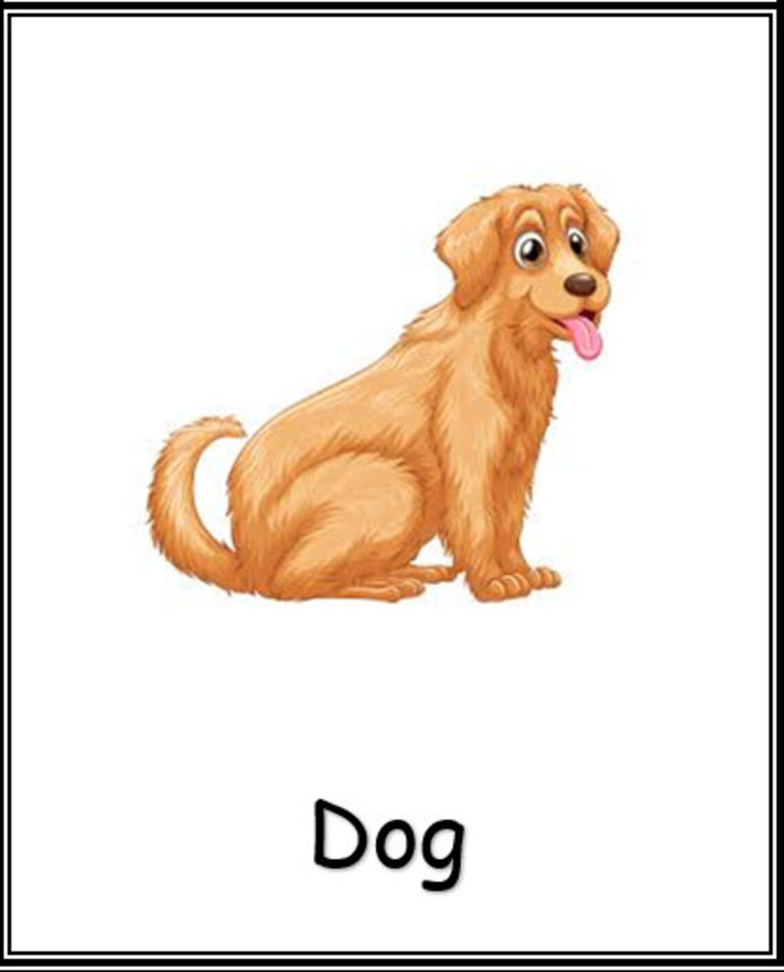 74 Animal Picture Flashcards Learning Printable Etsy UK