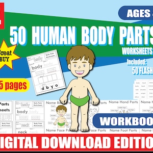 human body parts name with picture for kids