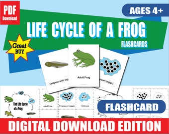 Life Cycle of a Frog Flashcards | Color and B&W | 6 Stages | Printable Science Cards in 3 Sizes | Homeschool and Classroom PDF