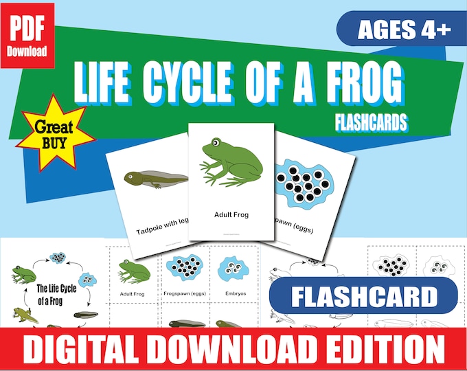 Life Cycle of a Frog Flashcards | Color and B&W | 6 Stages | Printable Science Cards in 3 Sizes | Homeschool and Classroom PDF