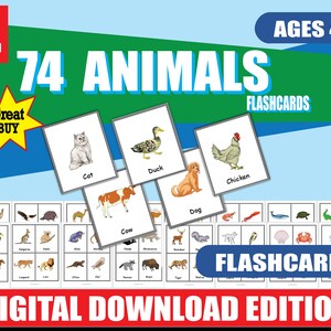 Animal Preschool Flashcards | 74 Colorful Animals | Printable Learning Cards for Ages 2+ | Word-Picture Match | Preschool & Kindergarten