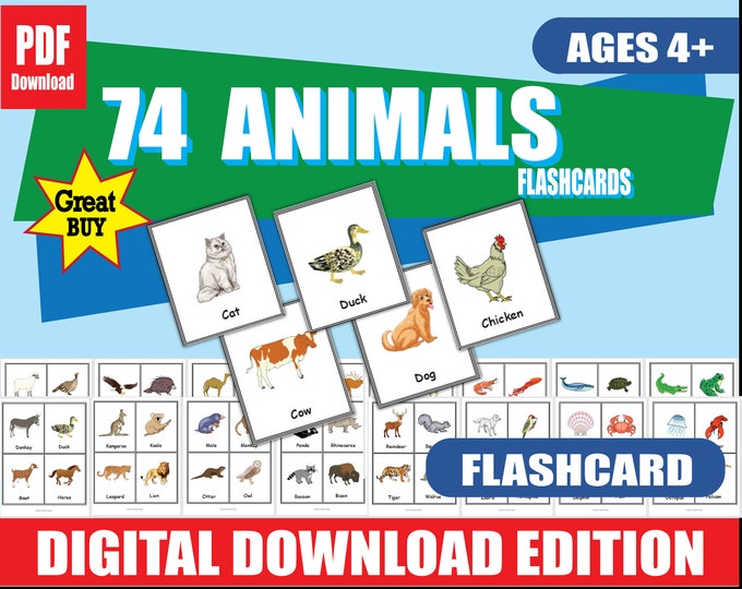 Animal Preschool Flashcards | 74 Colorful Animals | Printable Learning Cards for Ages 2+ | Word-Picture Match | Preschool & Kindergarten