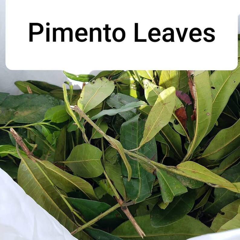 Organic Jamaican Allspice l Berries & Leaves Dried Crushed Etsy