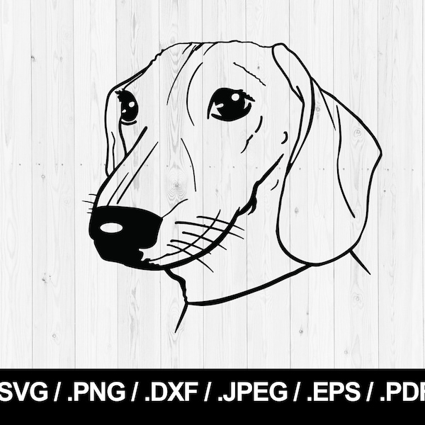 Realistic Wiener Dog SVG file, PNG, JPEG, eps, ai, pdf and dxf. Teckel. Dachshund. Instant download