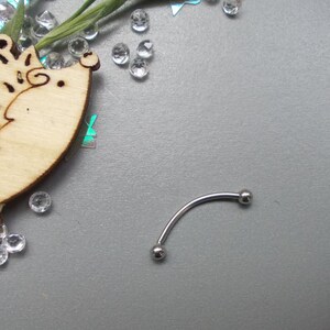 May include: A curved eyebrow piercing with two small silver balls on each end. The jewelry is displayed on a gray surface with a wooden hedgehog cutout, clear rhinestones, and iridescent confetti.