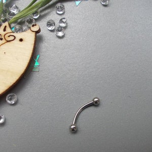 May include: A curved eyebrow piercing with two small silver balls at each end. The jewelry is on a gray surface, with a wooden hedgehog cutout, clear crystals, and green sprigs in the background.