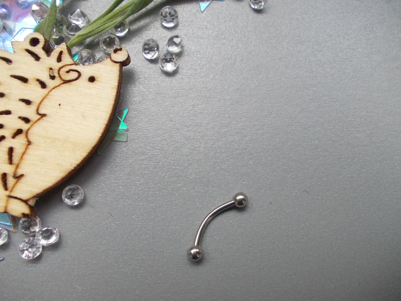 May include: A curved eyebrow piercing with two small silver balls at each end. The jewelry is on a gray surface, with a wooden hedgehog cutout, clear crystals, and green sprigs in the background.