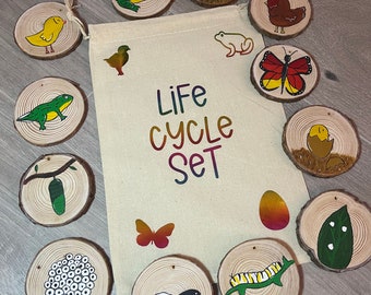 Life cycles/ butterfly life cycle/ frog life cycle/ hen life cycle/ science / eyfs /science resources