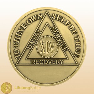 Sobriety Coin - 14 Year Alcoholics Anonymous Coin - Antique Bronze AA Medallion with Serenity Prayer - AA Coin - Recovery Chip