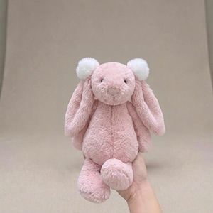 Könnte beinhalten: Ein rosa Plüschhase mit langen, schlaffen Ohren und weißen Pompons. Das Stofftier hat eine weiche, flauschige Textur und eine kleine, herzförmige Nase. Ein Kinderspielzeug.