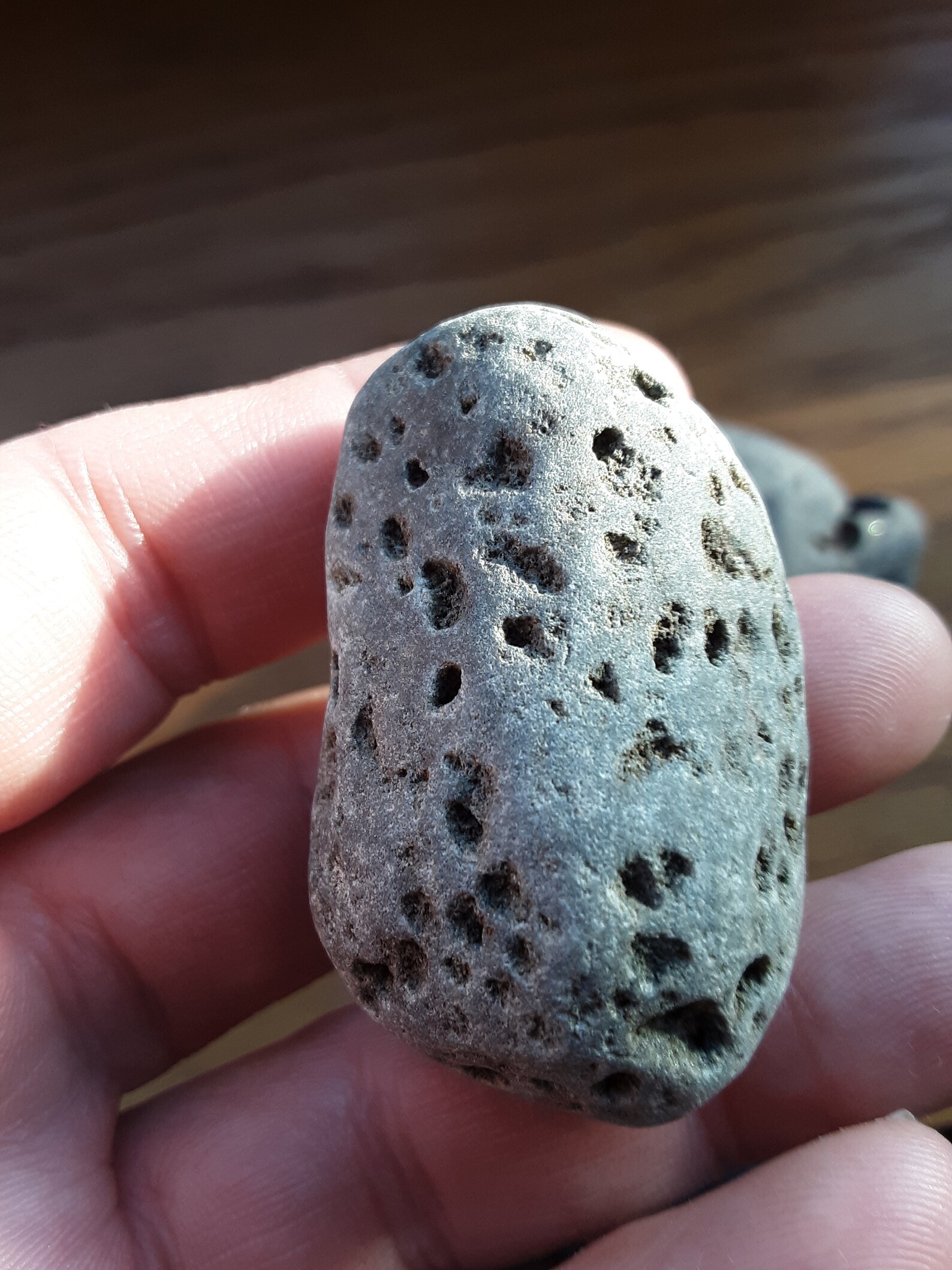 Vesicular Basalt Rocks for Crafts from Lake Superior Etsy