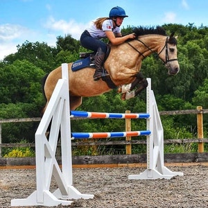 Cross Wings (1 set of 2 jumps)