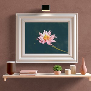 Fleur rose de lotus