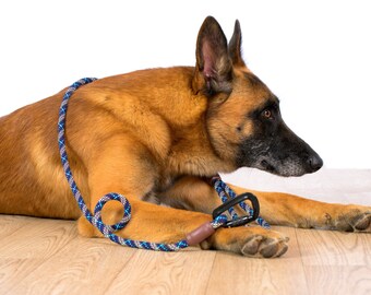 Custom Rope Dog Leash, Carabiner Pet Leash, Lightweight and Durable Rope Lead, Rope Leash for Small and Big Dogs, Adventure Dog Gear
