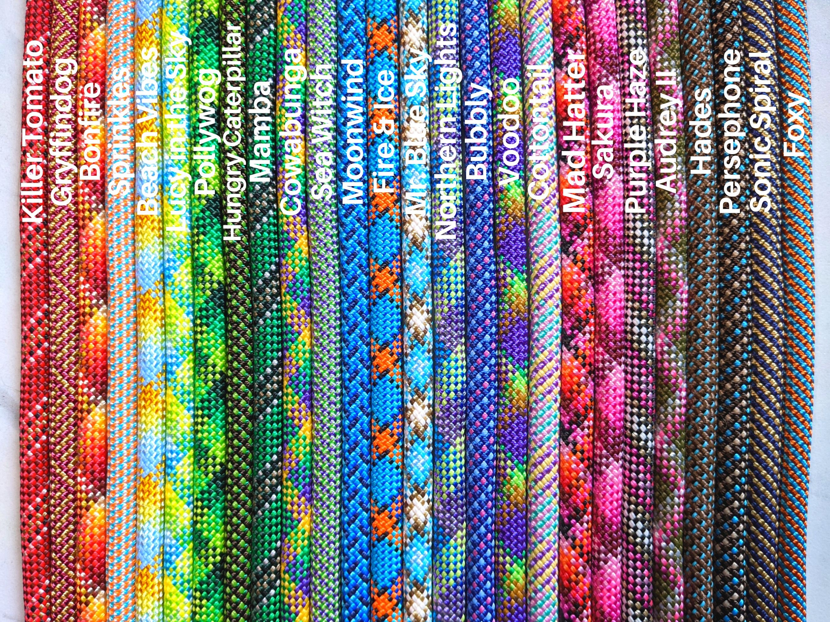 Design Your Own Dog Leash, Custom Pet Lead, Create Your Perfect ...
