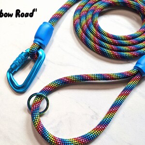 Custom Rainbow Rope Dog Leash, Carabiner Pet Leash, Lightweight and Durable Rope Lead, Colorful Rope Leash for Small Dogs and Big Dogs image 6