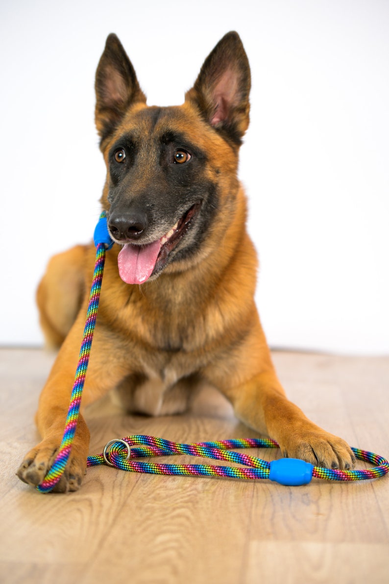Custom Rainbow Rope Dog Leash, Carabiner Pet Leash, Lightweight and Durable Rope Lead, Colorful Rope Leash for Small Dogs and Big Dogs image 5
