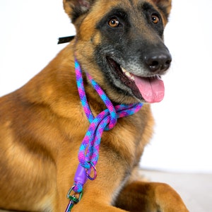Custom Rainbow Rope Dog Leash, Carabiner Pet Leash, Lightweight and Durable Rope Lead, Colorful Rope Leash for Small Dogs and Big Dogs image 10