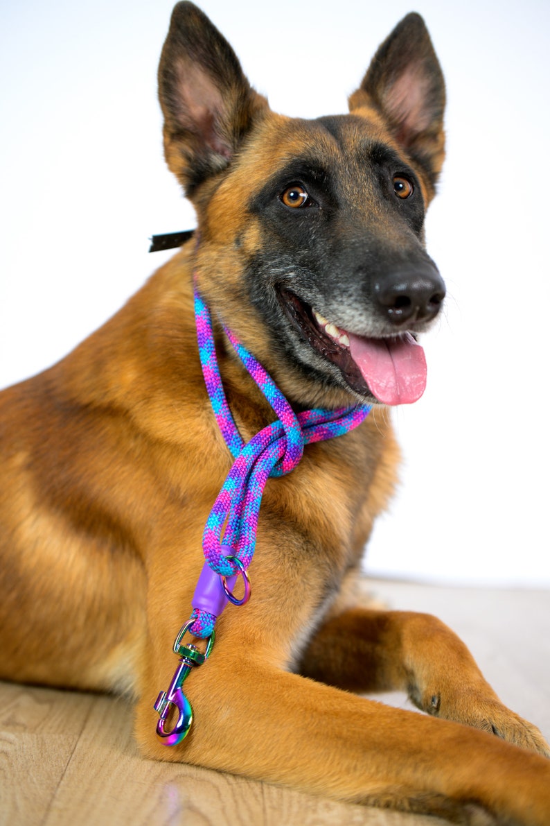 Custom Rainbow Rope Dog Leash, Carabiner Pet Leash, Lightweight and Durable Rope Lead, Colorful Rope Leash for Small Dogs and Big Dogs image 10