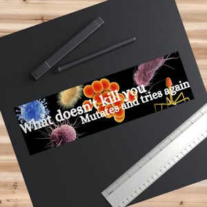 Microbiology Bumper Sticker What Doesn't Kill You Mutates and Tries Again