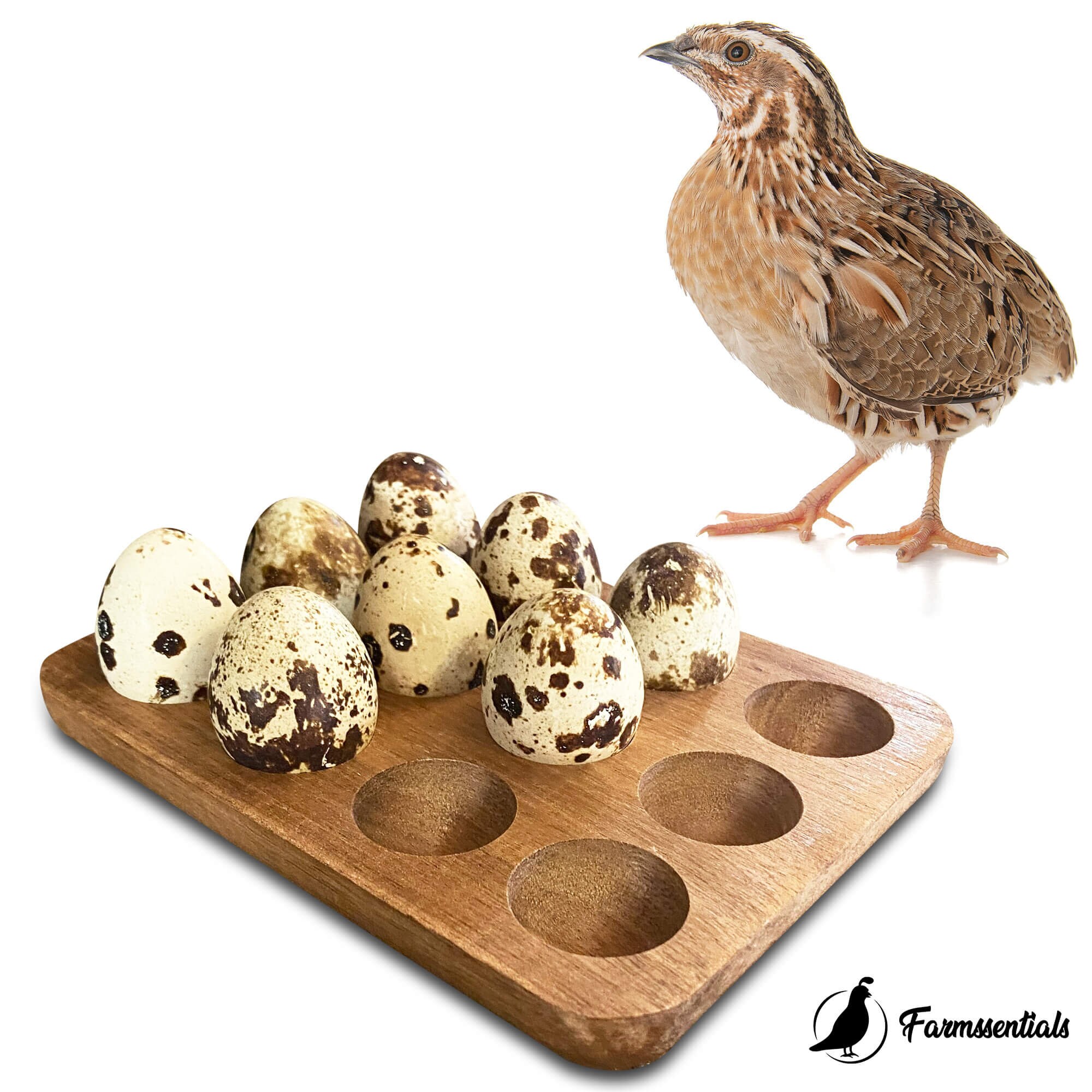 Acacia Wood Egg Holder Wooden Egg Tray Quail Eggs Easter Etsy