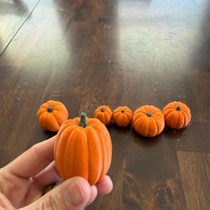 May include: A collection of six small, orange, decorative pumpkins with vertical ridges and dark green stems. One pumpkin is held in the foreground, while five others of varying sizes are arranged in a row behind it on a dark wooden surface.