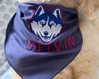 Custom College Pet Bandanna