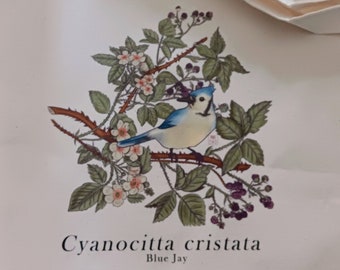 Blue Jay Natural Canvas Tote Bag