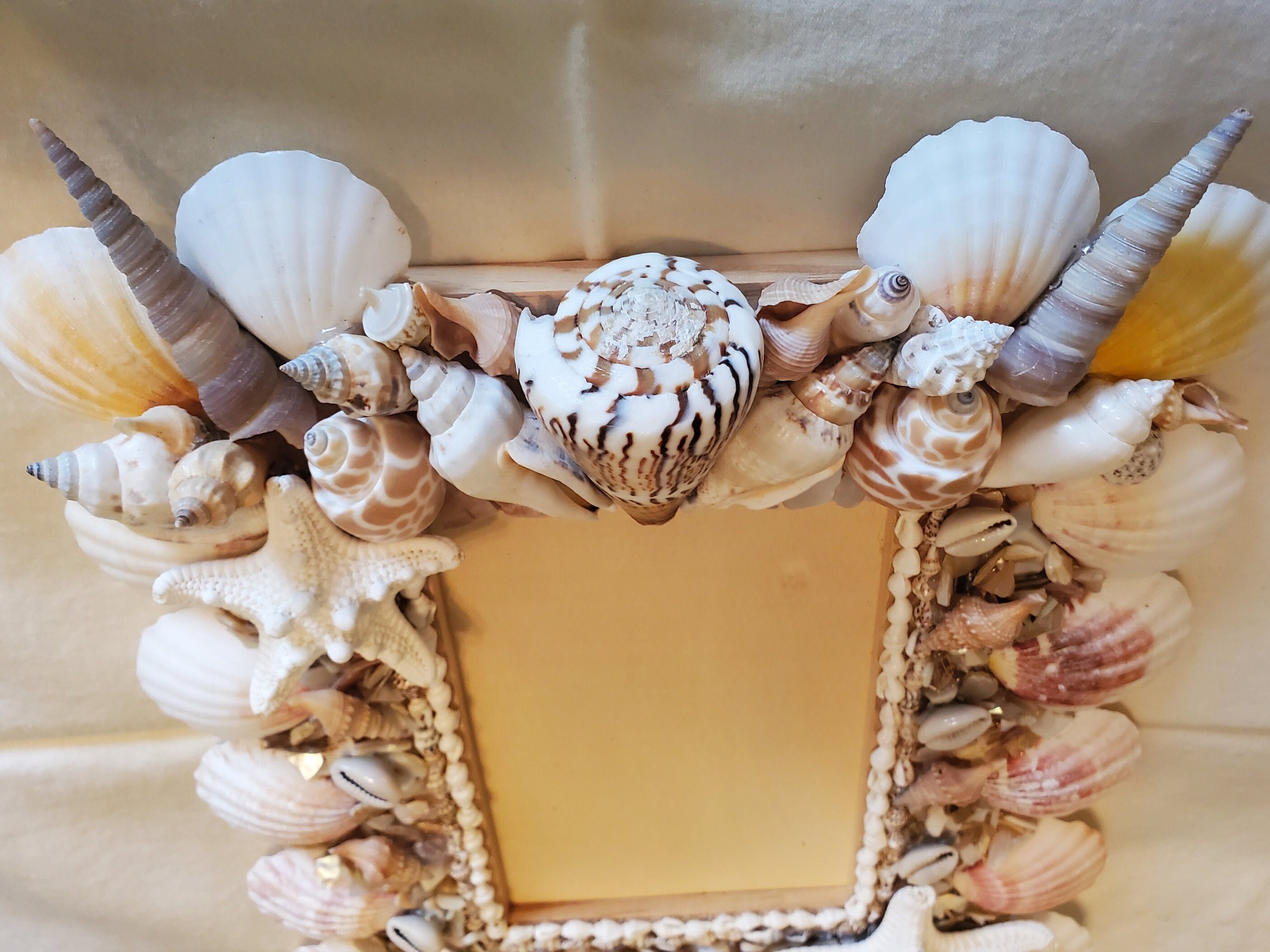 Handmade Shell Frame Embellished Seashell Frame Decorative 